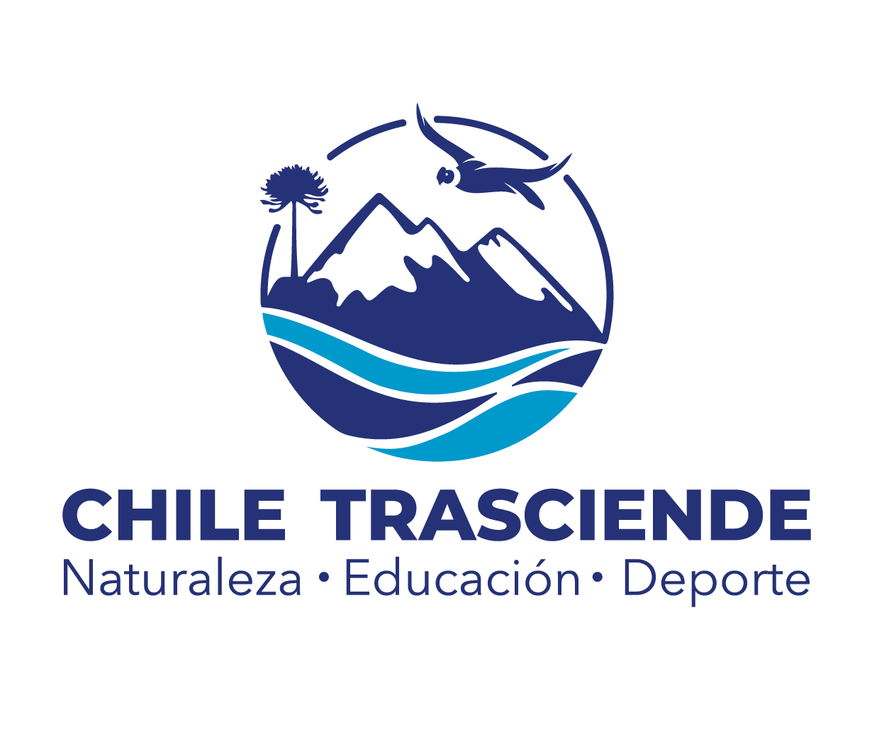 Logo de Fundación Chile Trasciende